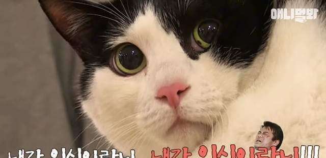 甩掉开学季肥宅脸,妹子们学起来