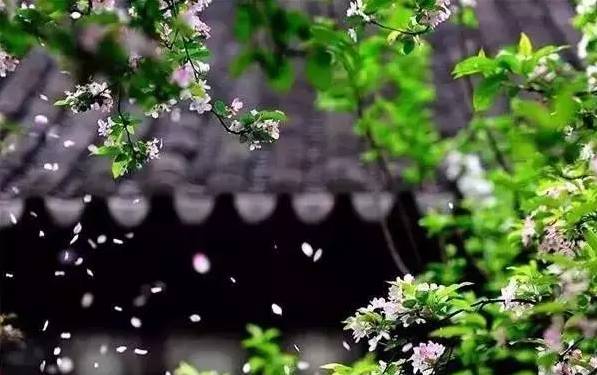 忆当年诗词诗词精选五十一首 当年还自惜，往事那堪忆