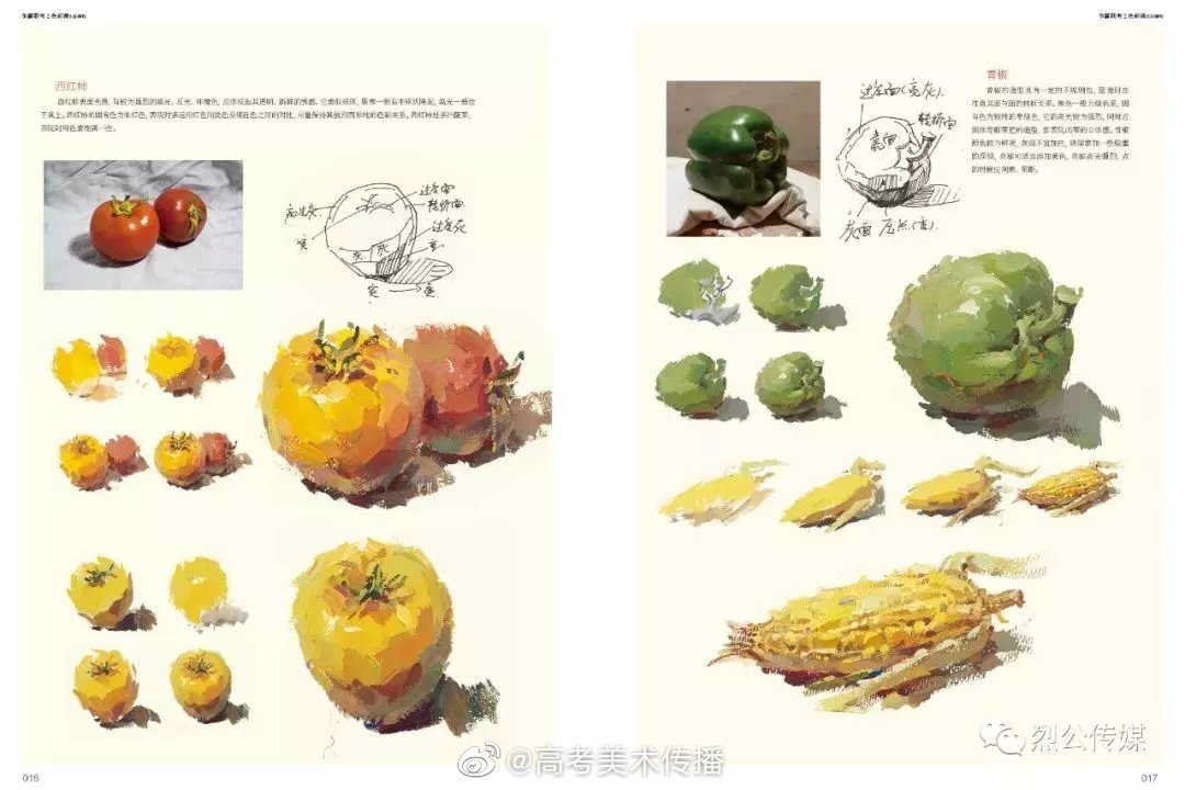 色彩静物教学笔记分享.