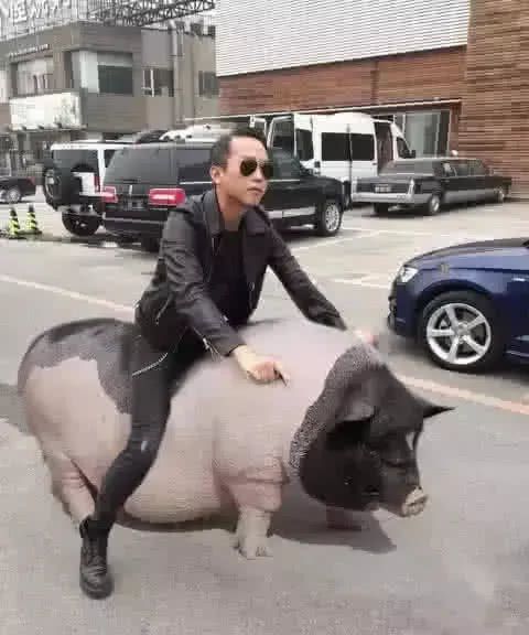 p图大神要恶搞,明星受不了,忍了岳云鹏,成龙大哥的好好笑