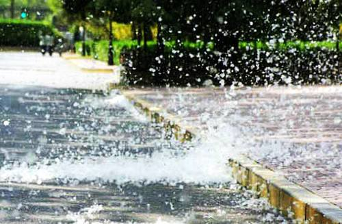 柳絮杨花诗词精选五十一首二月杨花轻复微,春风摇荡惹人衣 柳絮杨花诗词精选五十一首 二月杨花轻复微,春风摇荡惹人衣