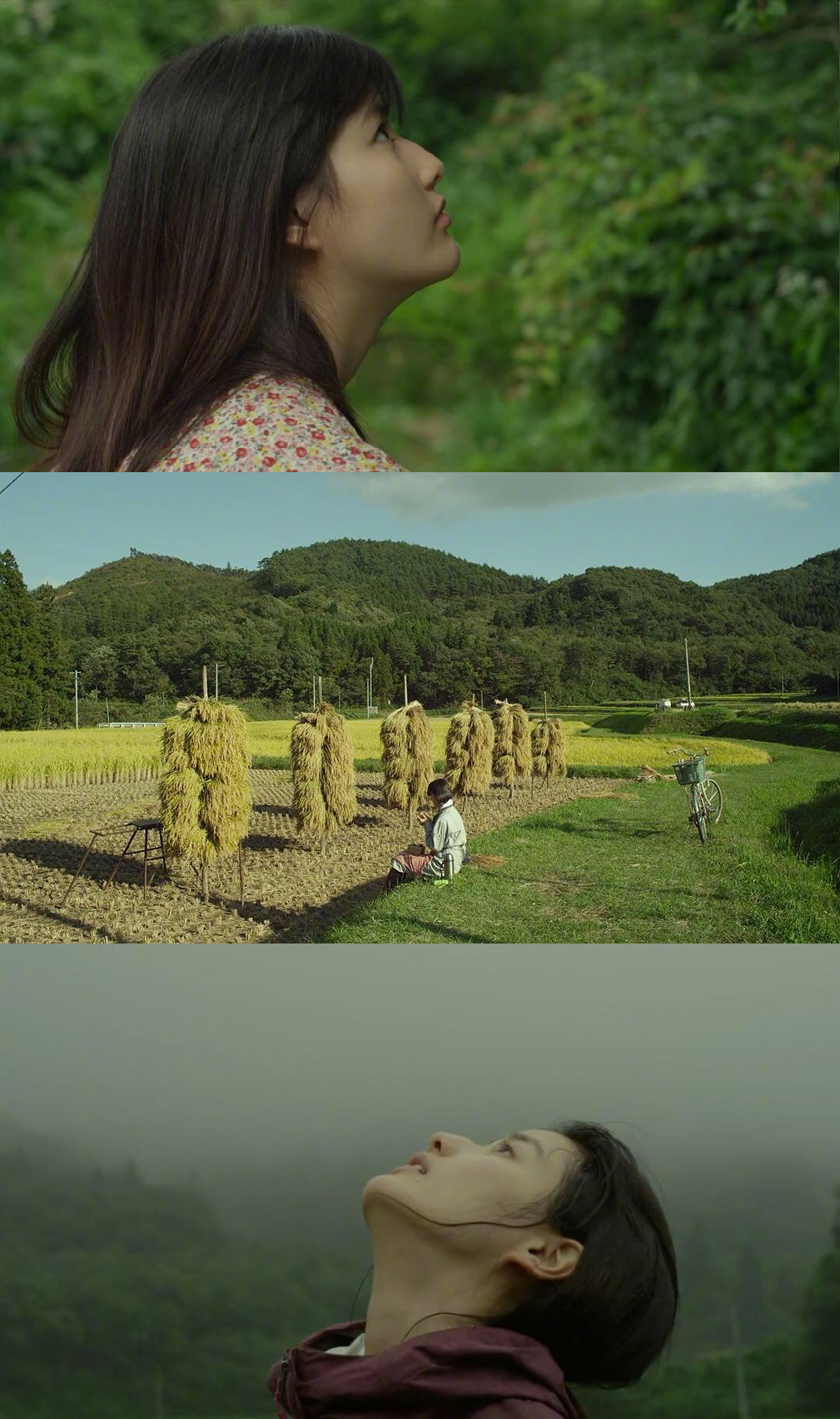 电影《小森林 夏秋篇》,每一帧美得像壁纸