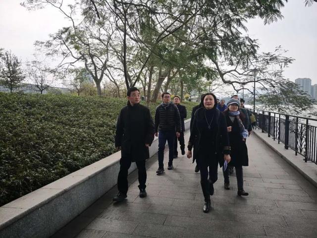 省文化和旅游厅副厅长陈波到肇庆调研 陈波 副厅长 肇庆 新浪新闻