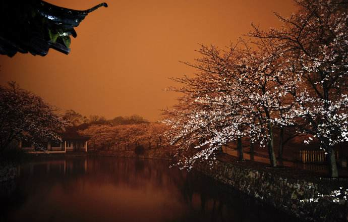 忆当年诗词诗词精选五十一首 当年还自惜，往事那堪忆