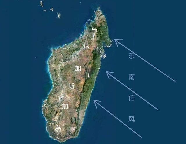 马达加斯加岛具体有哪几种气候?形成原因又是什么?