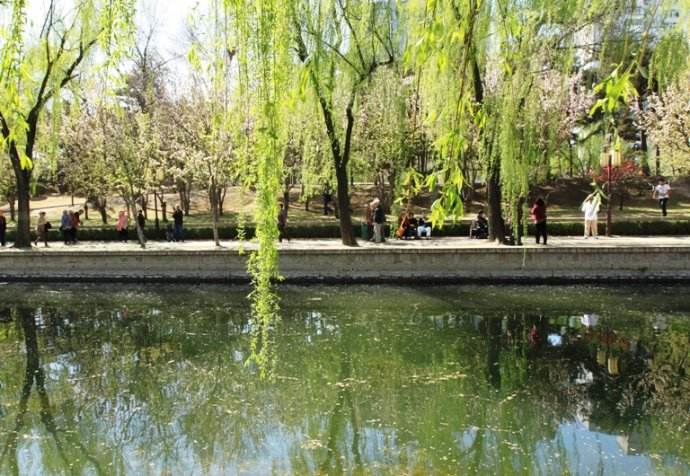 柳絮杨花诗词精选五十一首二月杨花轻复微,春风摇荡惹人衣 柳絮杨花诗词精选五十一首 二月杨花轻复微,春风摇荡惹人衣