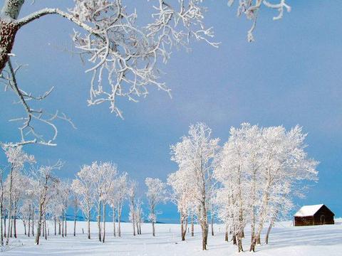 近期“10-15万日系轿车“动态汇总，都在这个专题里