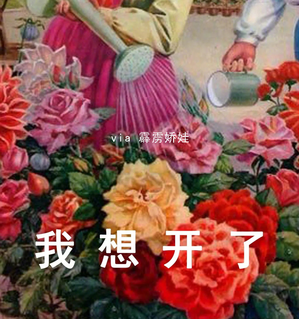 520表情包了解一下，没对象的520就不能过节吗