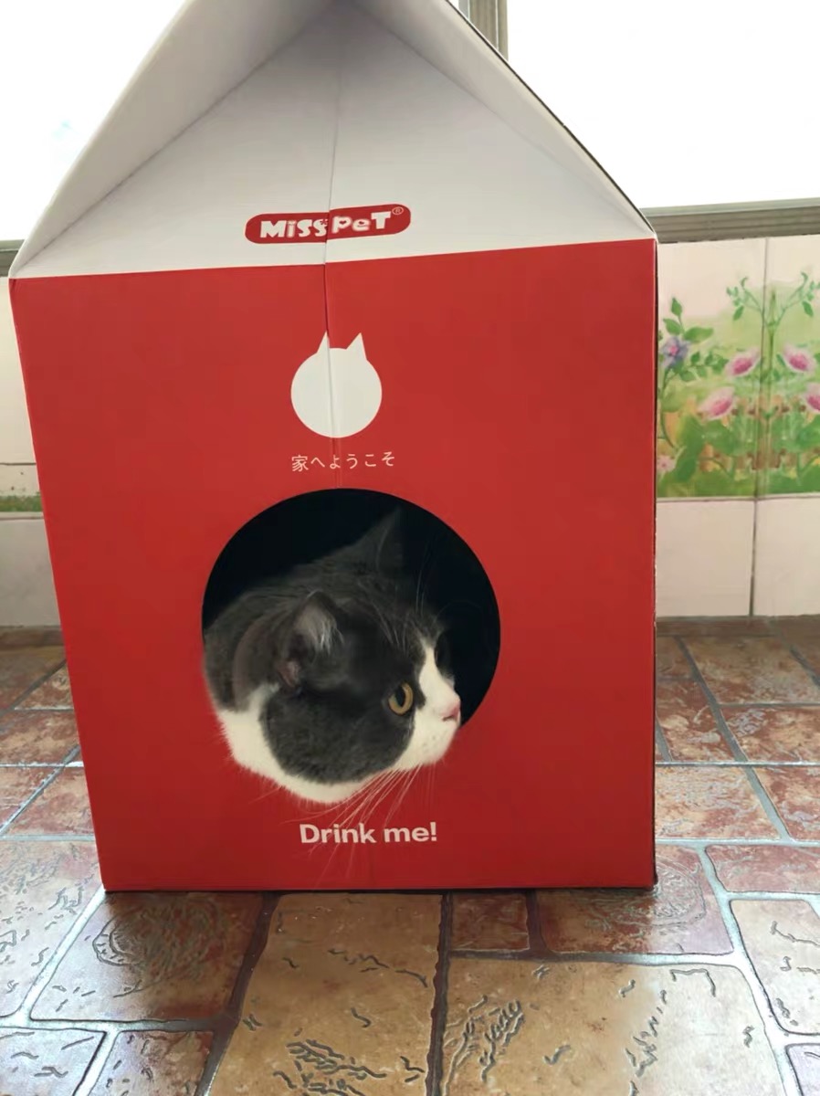 上了一个猫抓板!牛奶盒子和小怪物