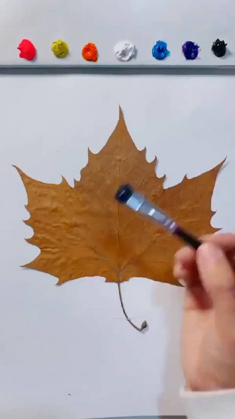 趣味素描,画一片枫叶!