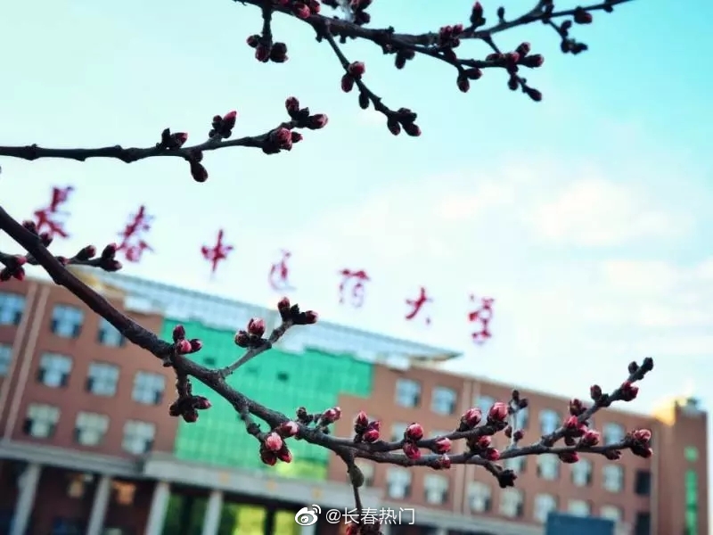4月27日,长春中医药大学将举办第二届杏花节暨校园开放日活动