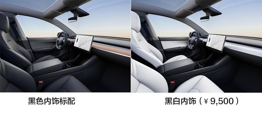 北美最快下个月交付 特斯拉Model Y怎么选?