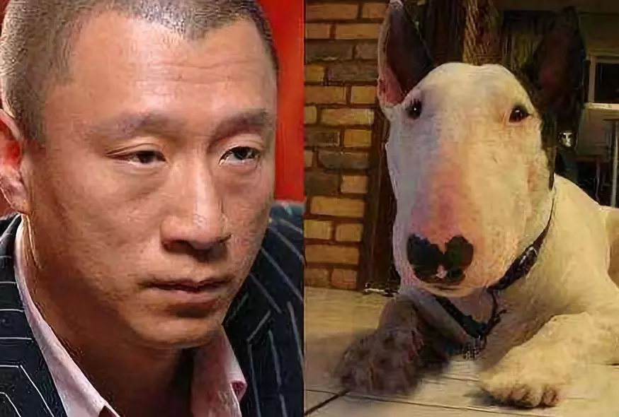 胡歌代言CT6?那这几位男神代言的汽车你知道吗?
