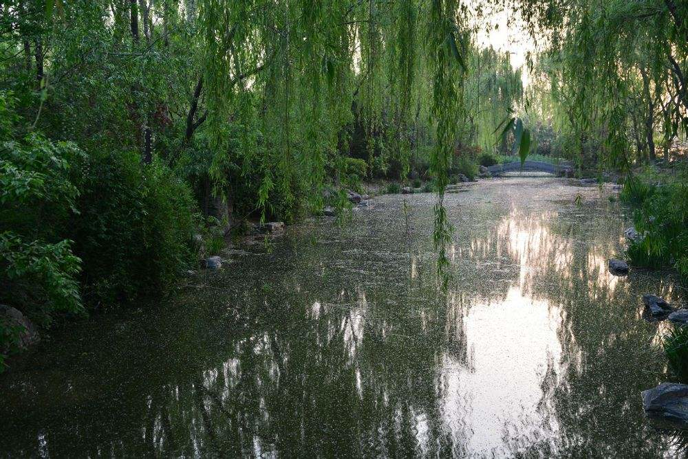 柳絮杨花诗词精选五十一首二月杨花轻复微,春风摇荡惹人衣 柳絮杨花诗词精选五十一首 二月杨花轻复微,春风摇荡惹人衣