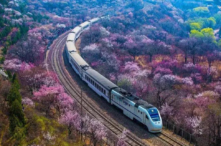 北京最美慢火车列车s2线,如今成网红列车,开往春天的花海