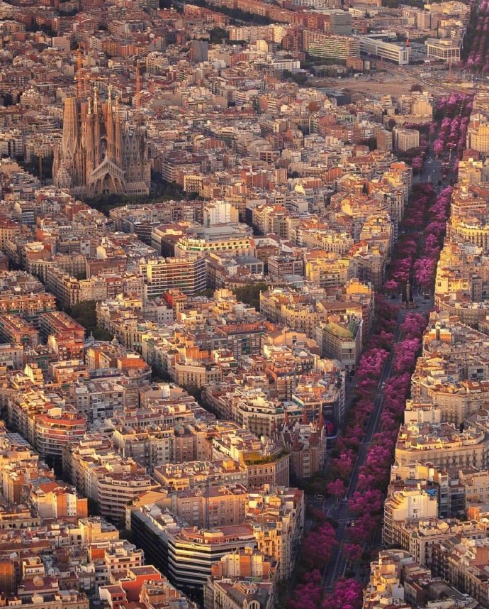 巴塞罗那 Barcelona