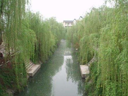 柳絮杨花诗词精选五十一首二月杨花轻复微,春风摇荡惹人衣 柳絮杨花诗词精选五十一首 二月杨花轻复微,春风摇荡惹人衣