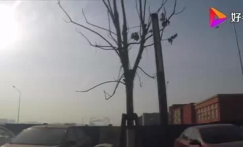 正常上班时间，为啥小区里还没有空车位？老司机说了实话