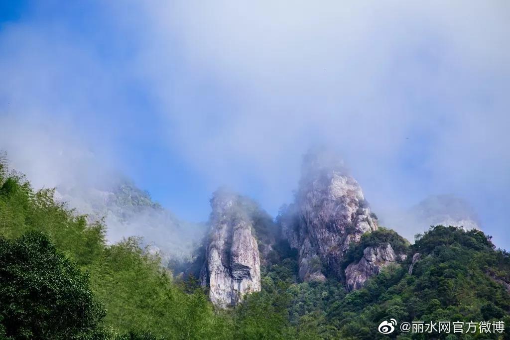 景宁有座九龙山,现实版的"爱丽丝仙境,一年有200多天都藏在云里