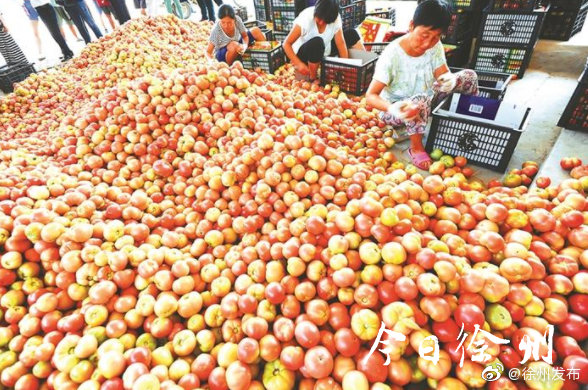 丰县的大蒜,邳州的红糖…徐州农产品走俏金桔国际洋葱市场泡水图片