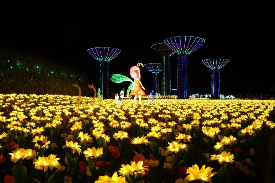 向日葵花海,时空隧道,网红未来时空馆,世博园新春灯会刷爆朋友圈