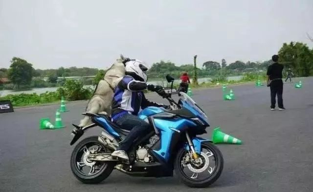 升仕310R\/X亮相泰国车展试驾，310V太子版能成为年底压轴大戏吗