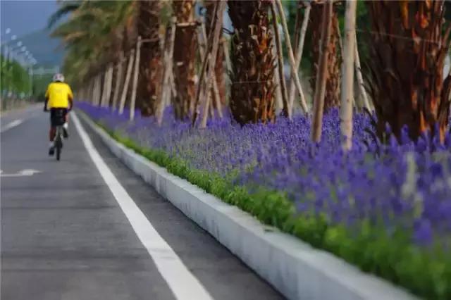 三亚最棒的纯别墅酒店,从踏入酒店开始你就是上帝!多图!