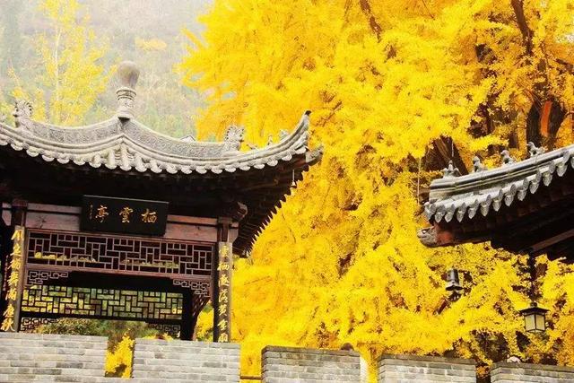 西安古观音禅寺雁归子成叶落冬已至