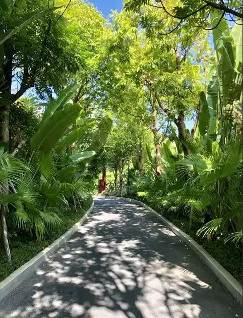 三亚最棒的纯别墅酒店,从踏入酒店开始你就是上帝!多图!