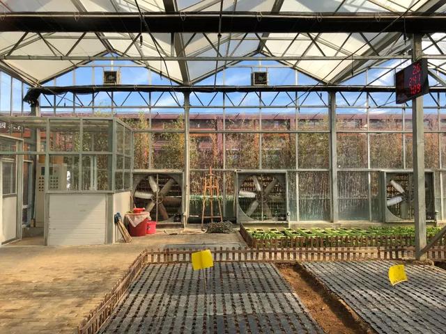 三亚最棒的纯别墅酒店,从踏入酒店开始你就是上帝!多图!