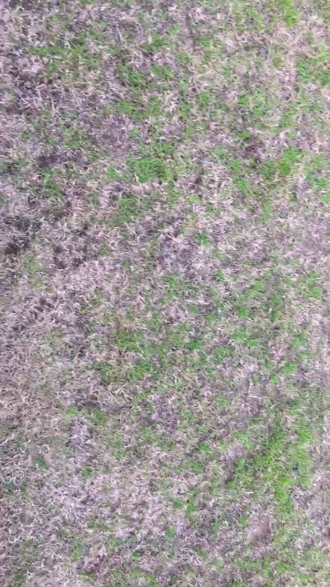 中超青年球员新闻的看点主页_新浪看点