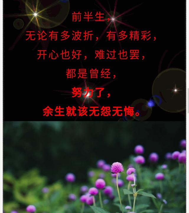 人，走着走着就散了，命，活着活着就没了，愿我们好好享受当下！