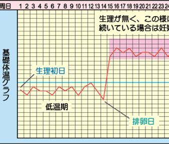 日 症状 排卵 排卵日の症状とは？腹痛や胸の張り、吐き気、腰痛が現れる？