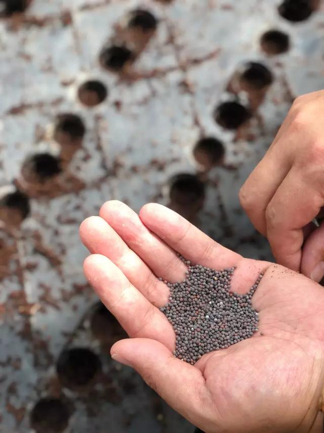 三亚最棒的纯别墅酒店,从踏入酒店开始你就是上帝!多图!