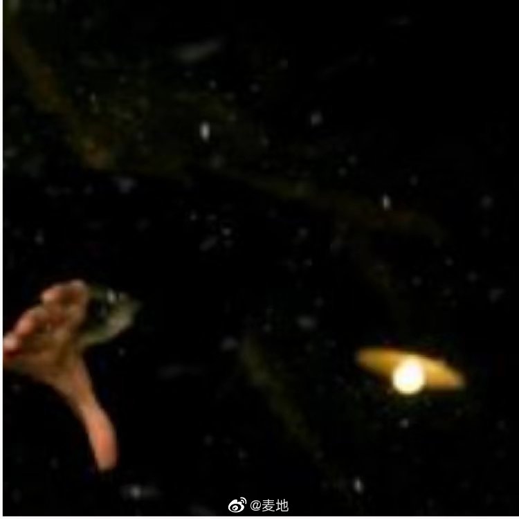 面子与里子里子面子一代宗师_新浪新闻