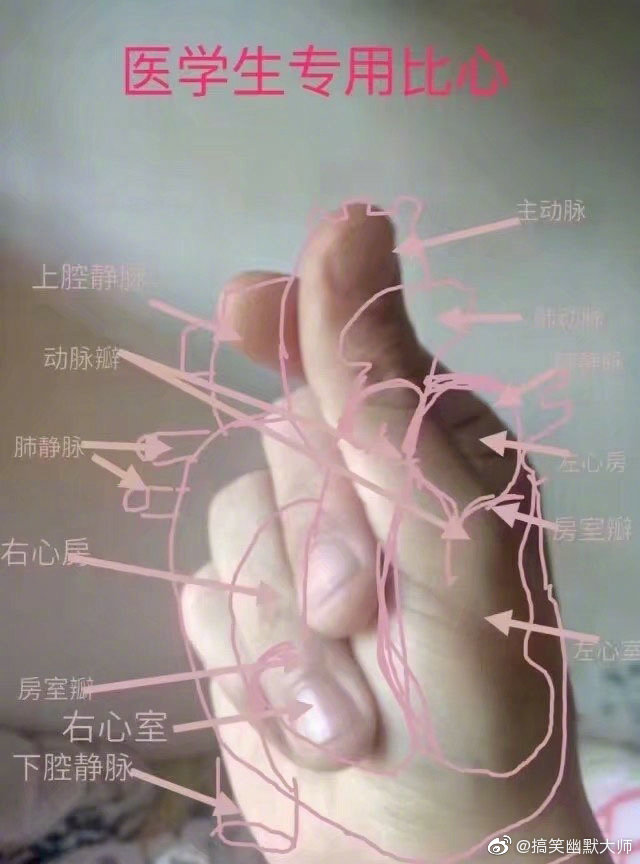 医学生专用表情包