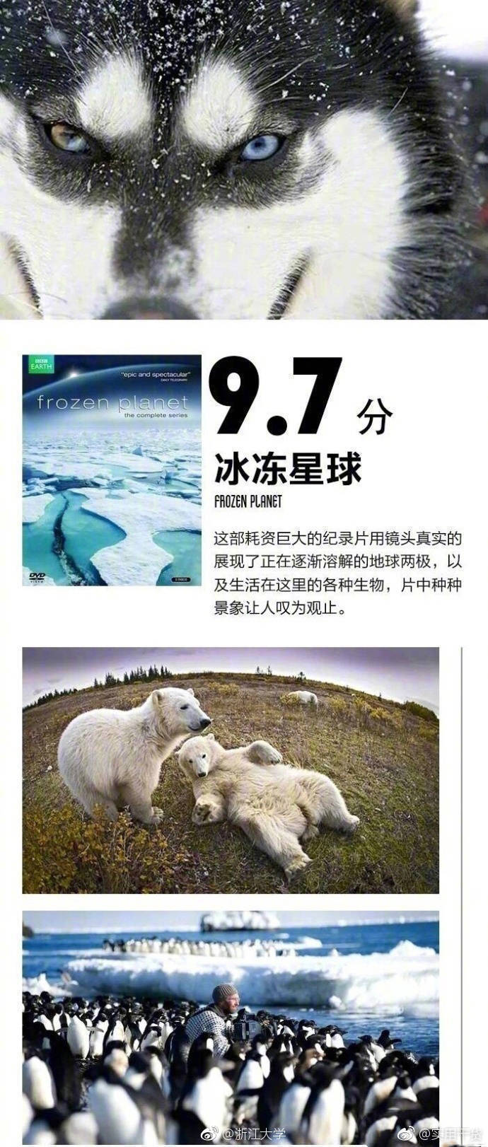 BBC推荐九部高分纪录片，让你在开阔视野培养英语思维的同时
