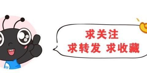 “日系小型轿车“最全资讯一网打尽，有我就够了