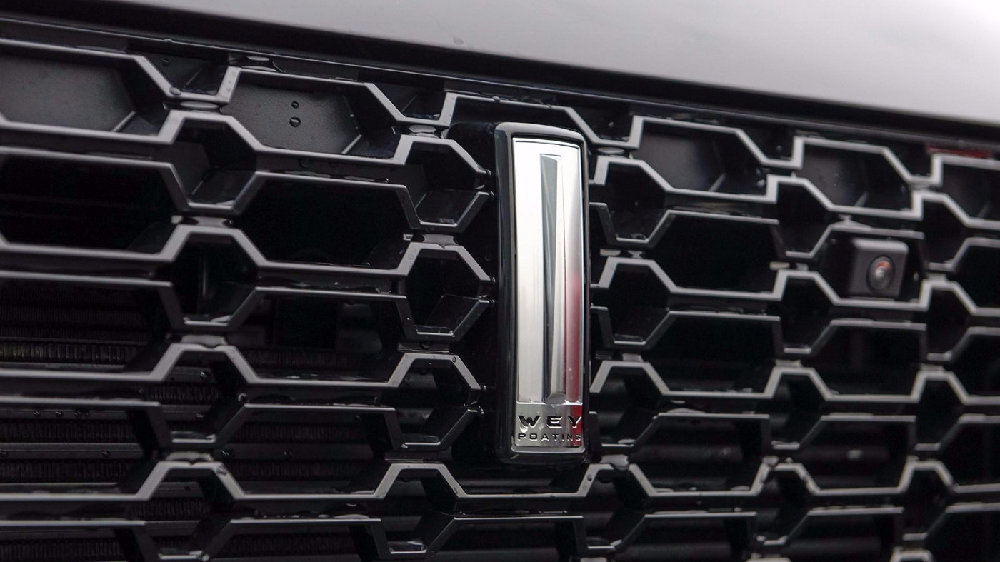 WEY，面对世界之前，先搞定了自己