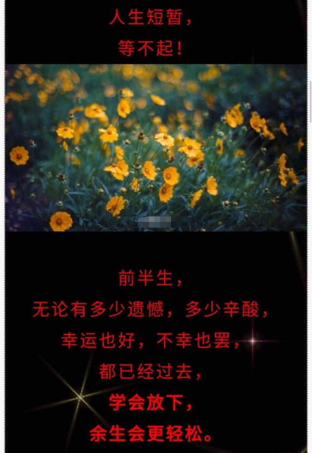 人，走着走着就散了，命，活着活着就没了，愿我们好好享受当下！