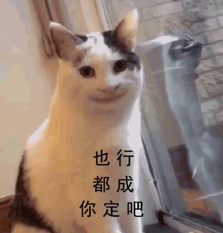 表情包佛系青年常用词