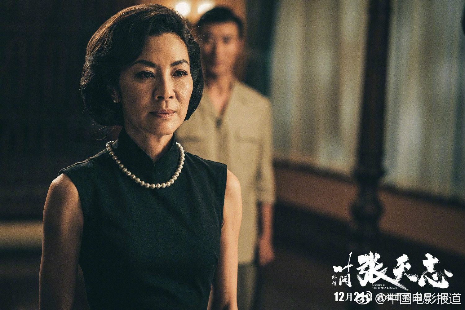 叶问外传杨紫琼角色