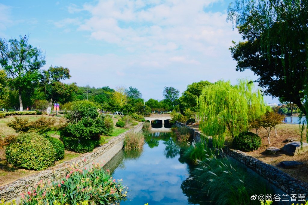 仙林大学城服务APP商家合作实战全解析