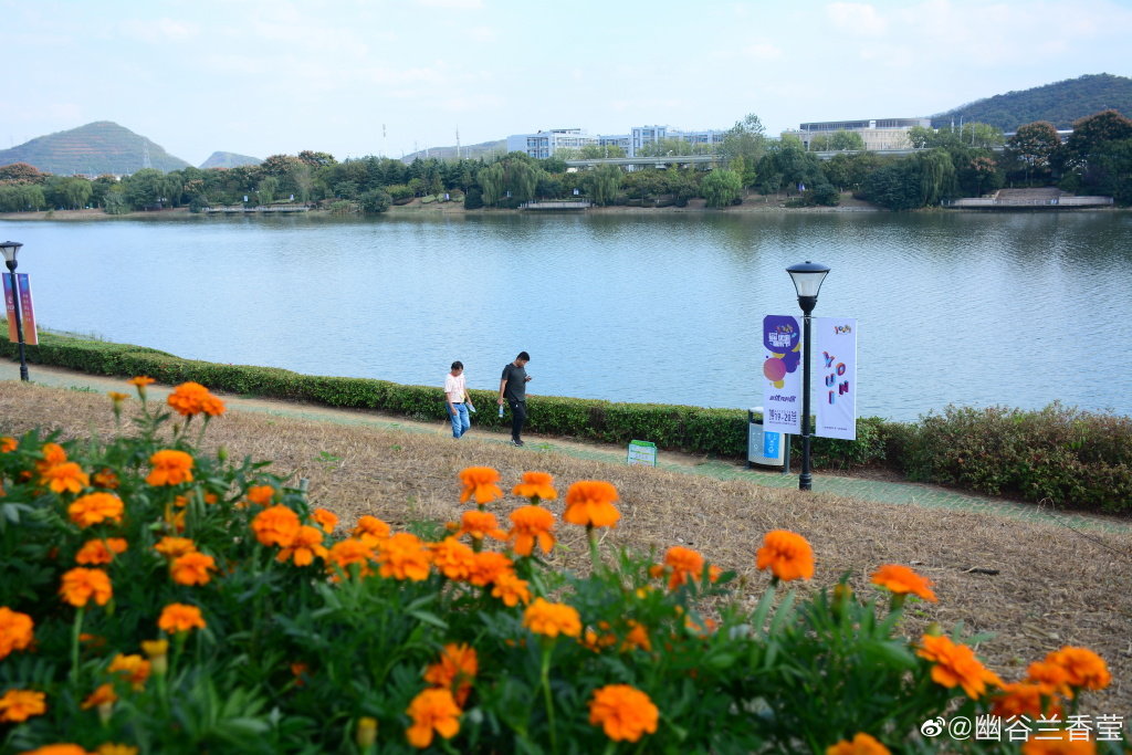 羊山公园位于南京市栖霞区仙林大学城东部处于仙林副城的中心区