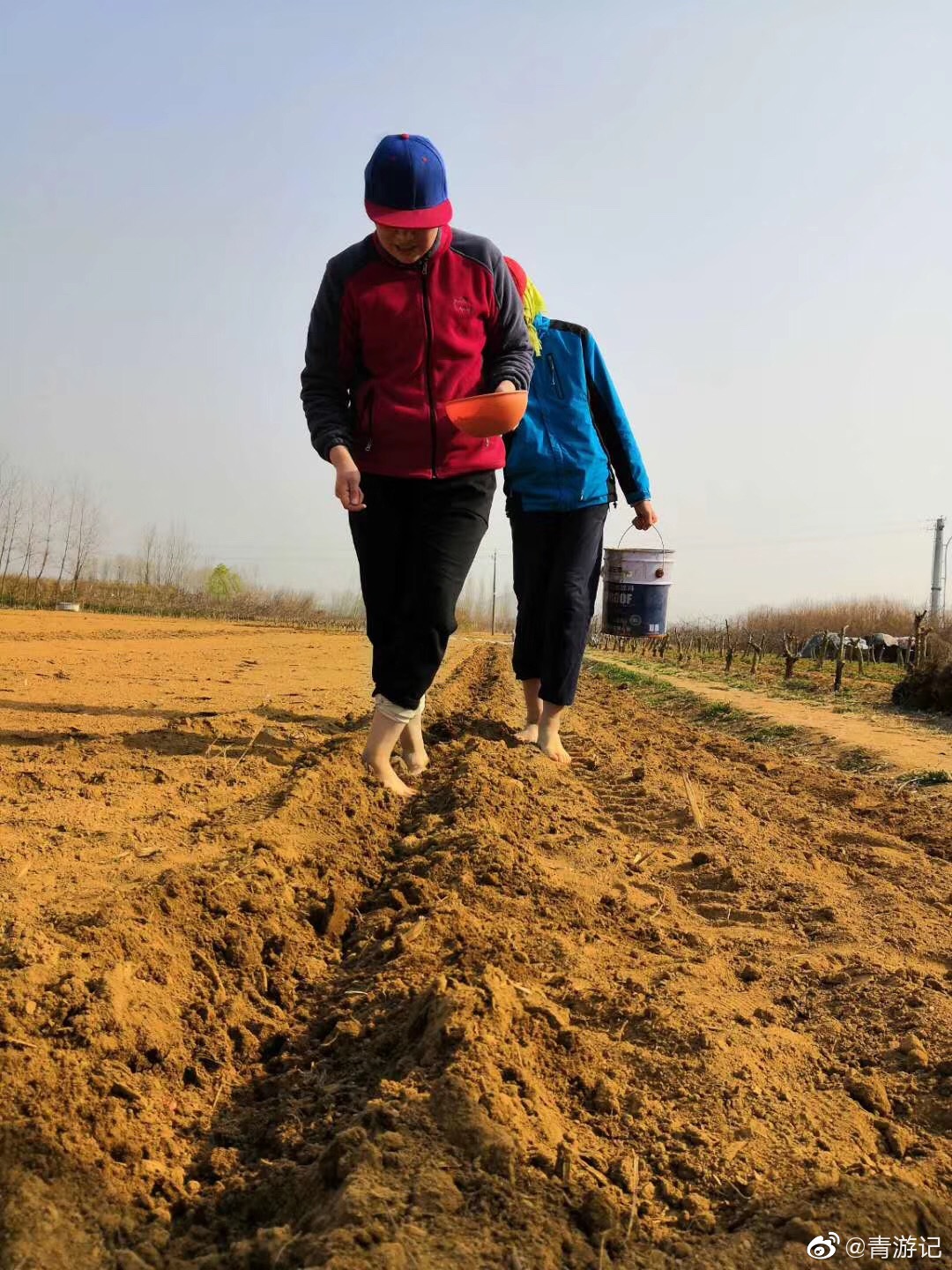 春种一粒粟，秋收万颗子。