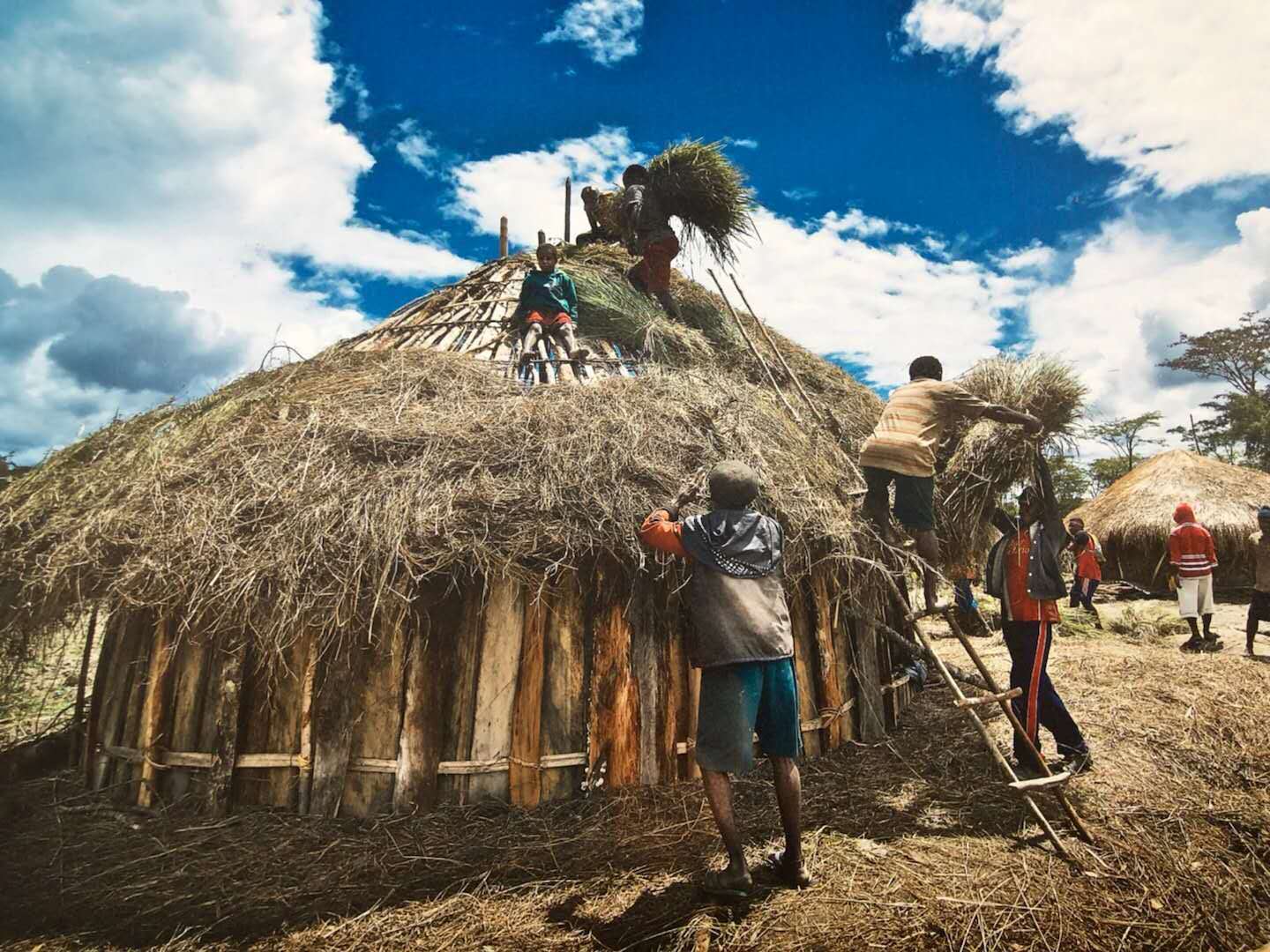 深入食人族部落探险,雷探长受伤缘起。