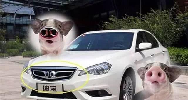 猪年有猪福，盘点几款猪型车标的小车，有没有你爱车的品牌？