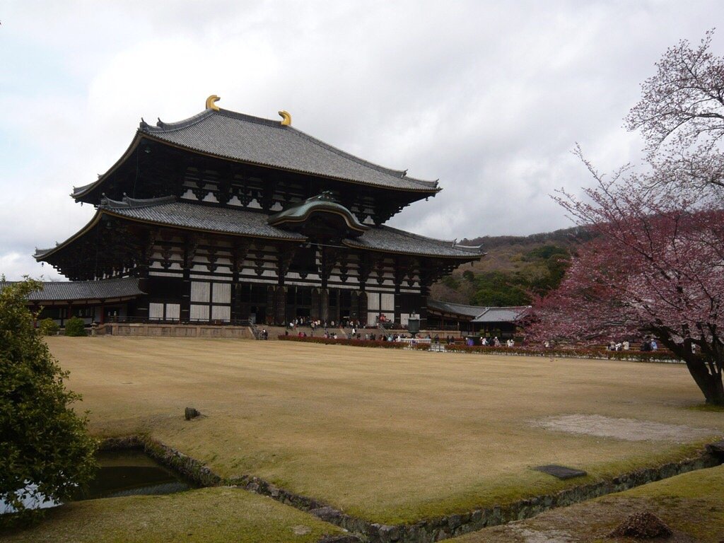 探秘兰州与青海大寺之旅——历史与文化的温情坐标