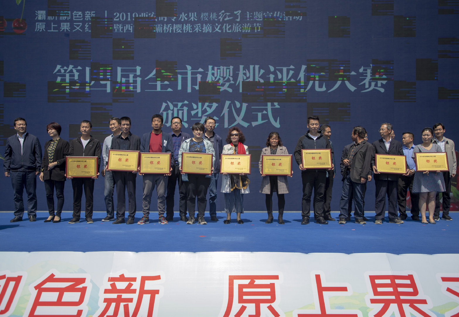 2019灞桥樱桃采摘文化旅游节启幕 樱桃红了只等你来