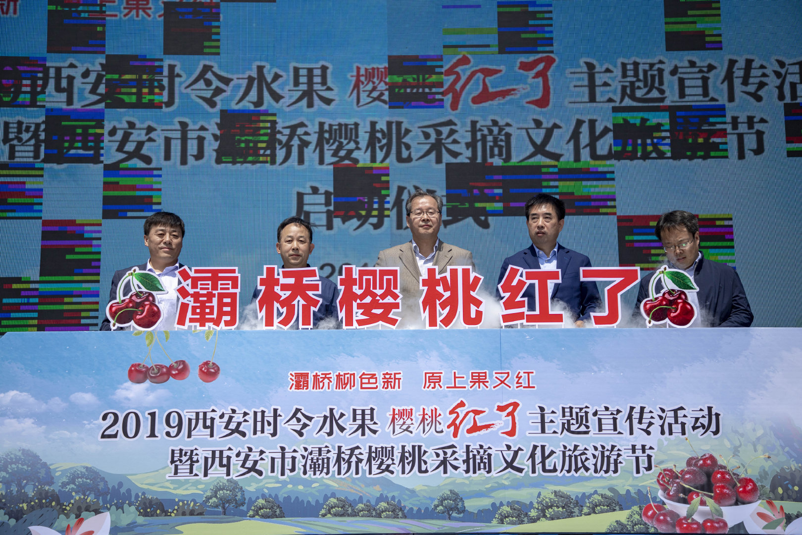 2019灞桥樱桃采摘文化旅游节启幕 樱桃红了只等你来